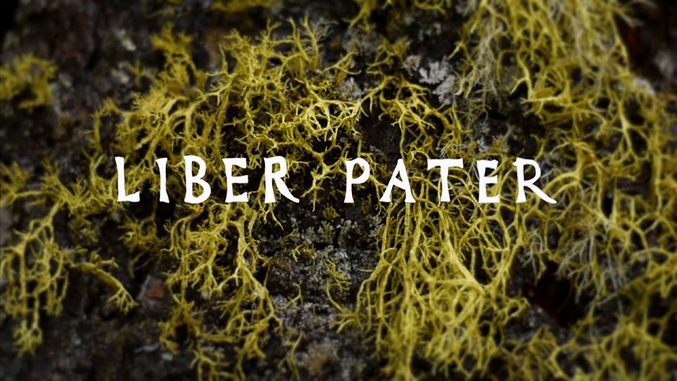 1185344_10201431759251674_150919692_n