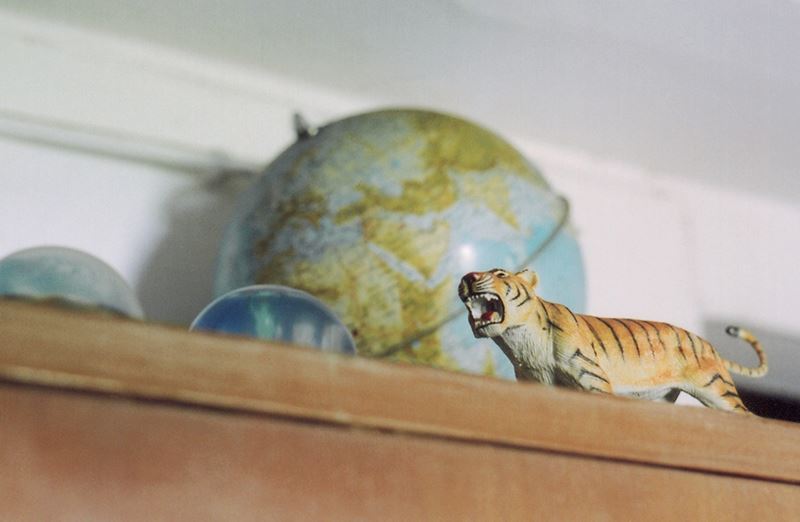 1452453_1409813305950500_7914626771359544654_n