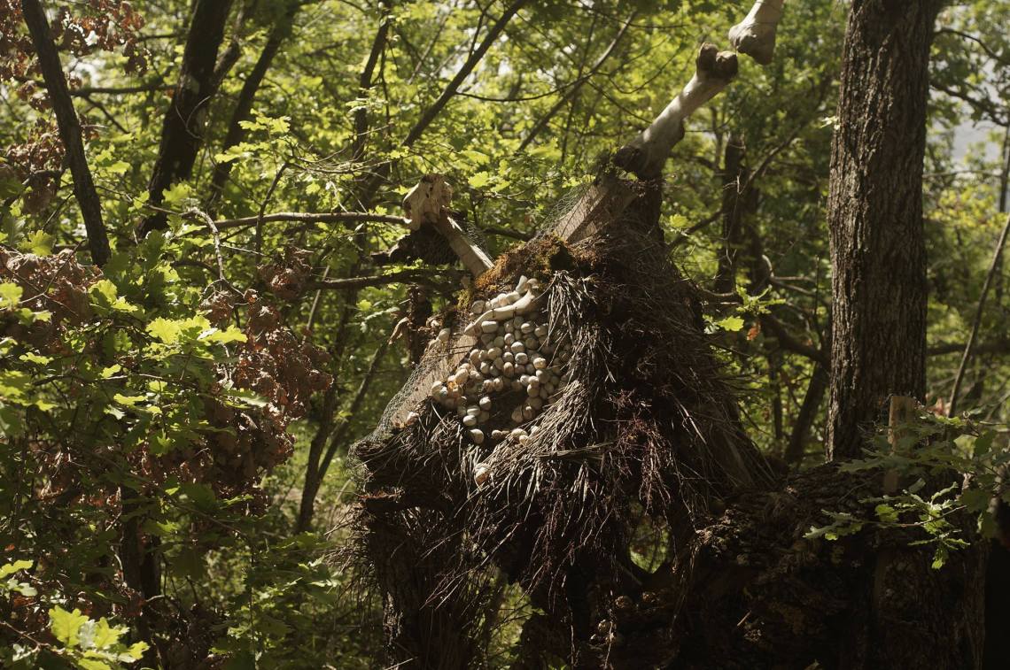 Omone di DEM in panne. Maggio 2014. Fotografia di Juan Pablo Macias
