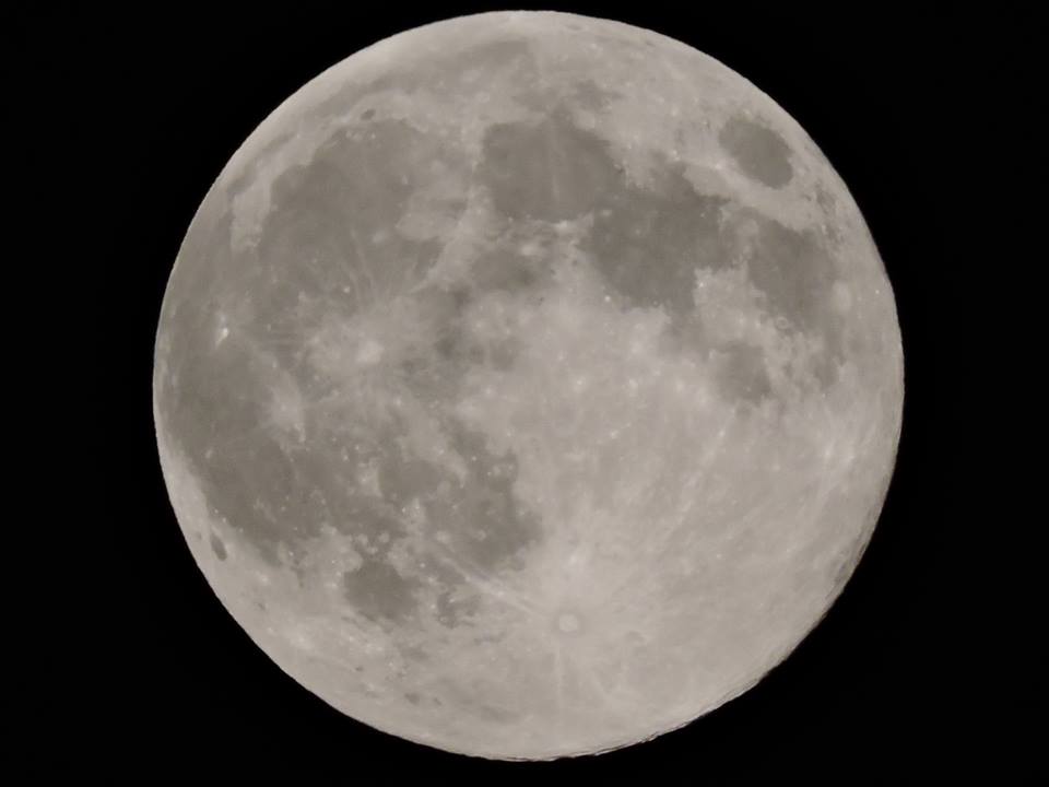 luna guilmese_alessandra dini