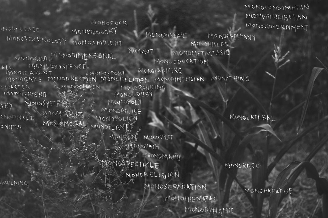 Juan Pablo Macias, 2015